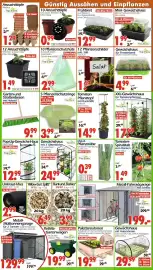 Wreesmann Prospekt Seite 2