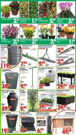 Wreesmann Prospekt Seite 3