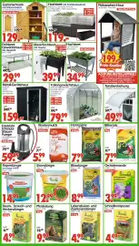 Wreesmann Prospekt Seite 4