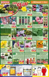 Norma Prospekt woche 11 Seite 12