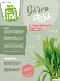 V Markt Magazin Seite 26