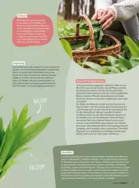 V Markt Magazin Seite 27