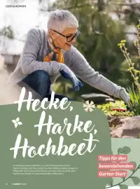 V Markt Magazin Seite 38