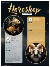 V Markt Magazin Seite 46