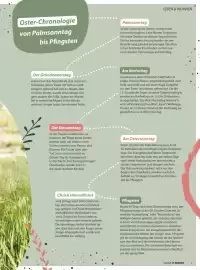 V Markt Magazin Seite 7