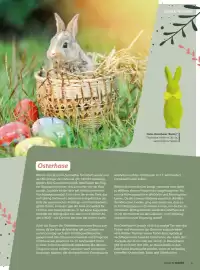 V Markt Magazin Seite 9