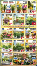 CENTERSHOP Prospekt woche 9 Seite 7