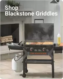 Ace Hardware flyer week 9 Page 6