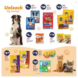 Family Dollar weekly ad week 10 Page 13