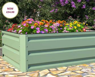 Thompson & Morgan catalogue Page 2