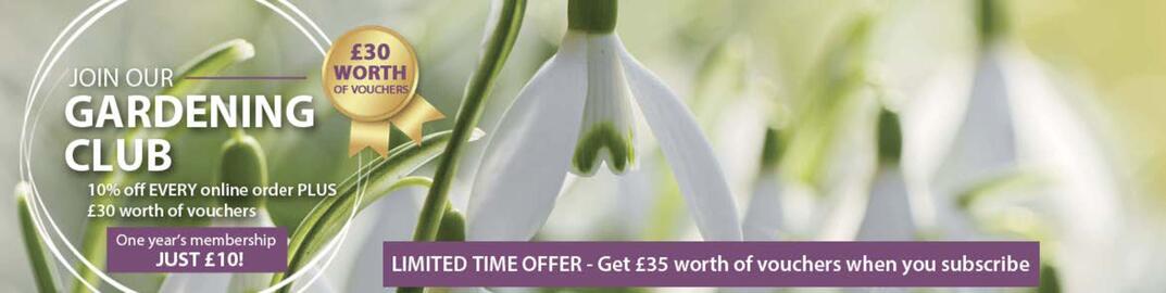 Thompson & Morgan catalogue Page 2