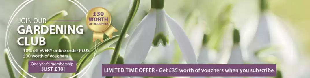 Thompson & Morgan catalogue Page 2