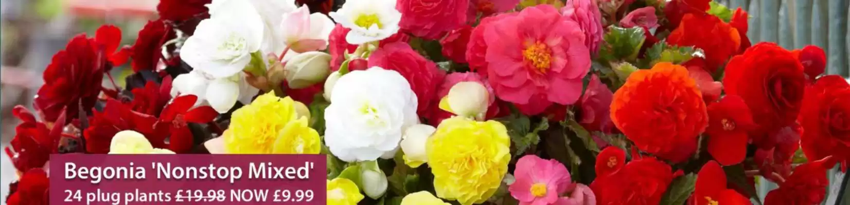 Thompson & Morgan catalogue (valid until 16-03)