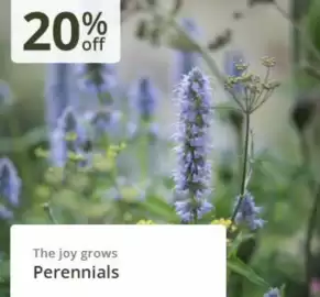 Crocus leaflet Page 1