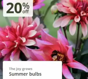 Crocus leaflet Page 3