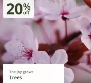 Crocus leaflet Page 5