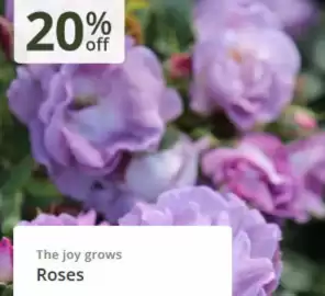 Crocus leaflet Page 6