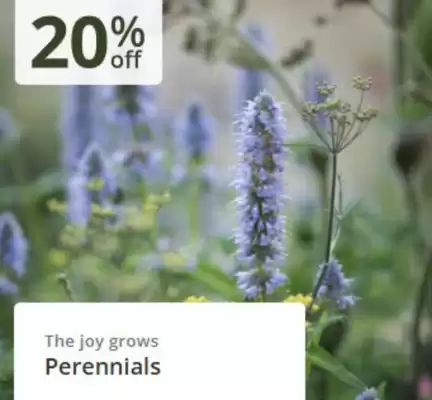 Crocus leaflet (valid until 16-03)