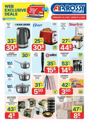 Rossy flyer (valid until 4-03)