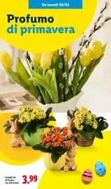 Volantino Lidl Pagina 45