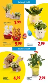 Volantino Lidl Pagina 46