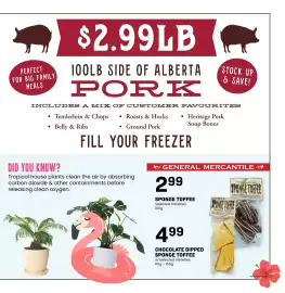 Freson Bros flyer week 10 Page 3