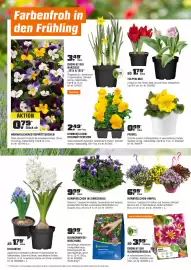 OBI Flugblatt Seite 6