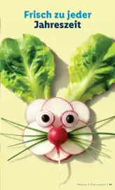 Lidl Flugblatt Seite 41