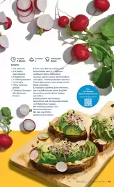 Lidl Flugblatt Seite 43