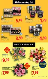 Lidl Flugblatt Seite 61