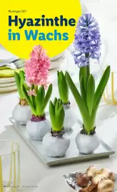 Lidl Flugblatt Seite 64