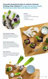 Lidl Flugblatt Seite 65