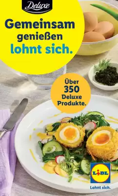 Lidl Flugblatt (gültig bis 5-04)