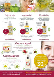 De Rode Pilaren folder Pagina 8