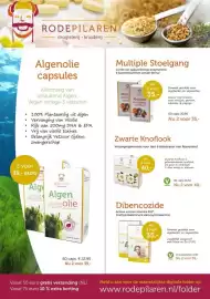 De Rode Pilaren folder Pagina 2