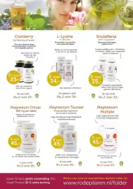 De Rode Pilaren folder Pagina 7