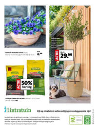 Intratuin folder week 10 Pagina 8