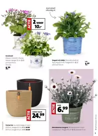 Intratuin folder week 10 Pagina 3