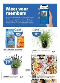 Intratuin folder week 10 Pagina 7