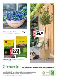 Intratuin folder week 10 Pagina 8