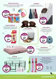 Pets & Co folder Pagina 4