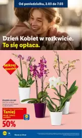 Lidl gazetka Strona 30