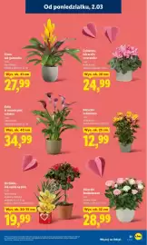 Lidl gazetka Strona 31