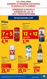 Lidl gazetka Strona 61