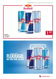 Transgourmet Flugblatt woche 11 Seite 13