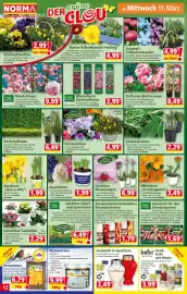 Norma Prospekt woche 11 Seite 12