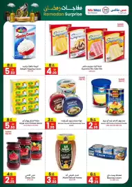 Ms Max catalogue Page 3