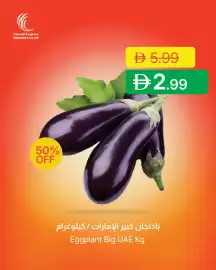 Emirates Co-op catalogue Page 4