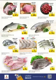 Nesto catalogue Page 8