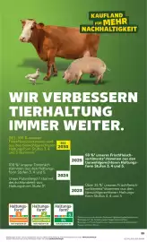 Kaufland DE folder week 11 Pagina 55